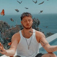bazzi